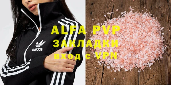 прущие грибы Алзамай