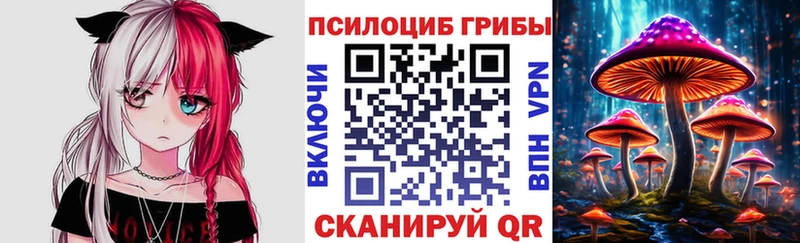 это Telegram  Егорьевск  Псилоцибиновые грибы Psilocybine cubensis 